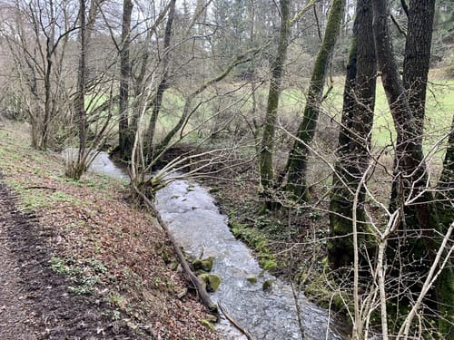 Üxheim Runde (Gerolsteiner Land)