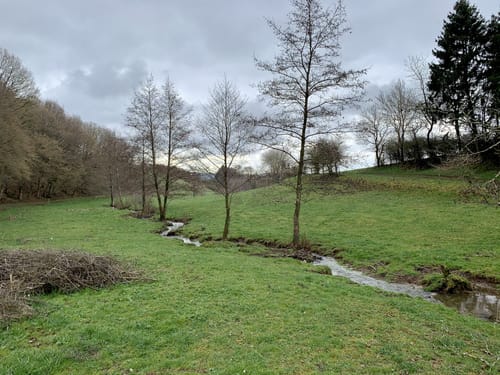 Üxheim Runde (Gerolsteiner Land)
