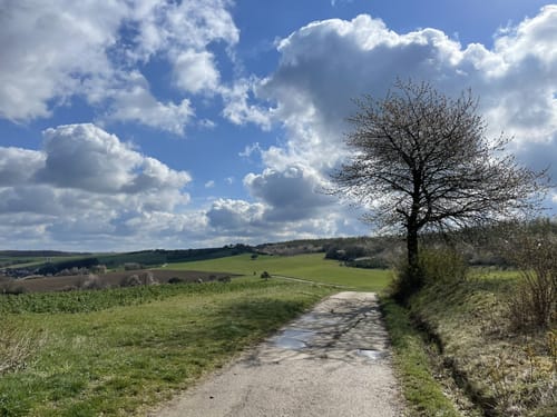 Dietrichingen - Ohrenthal