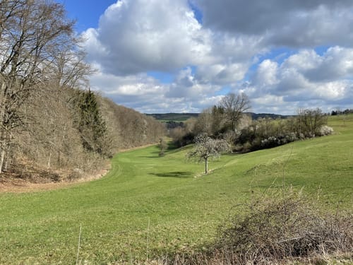 Rund ums Hornbachtal