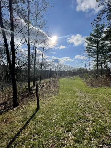 Wildcat mountain on sale state park hiking