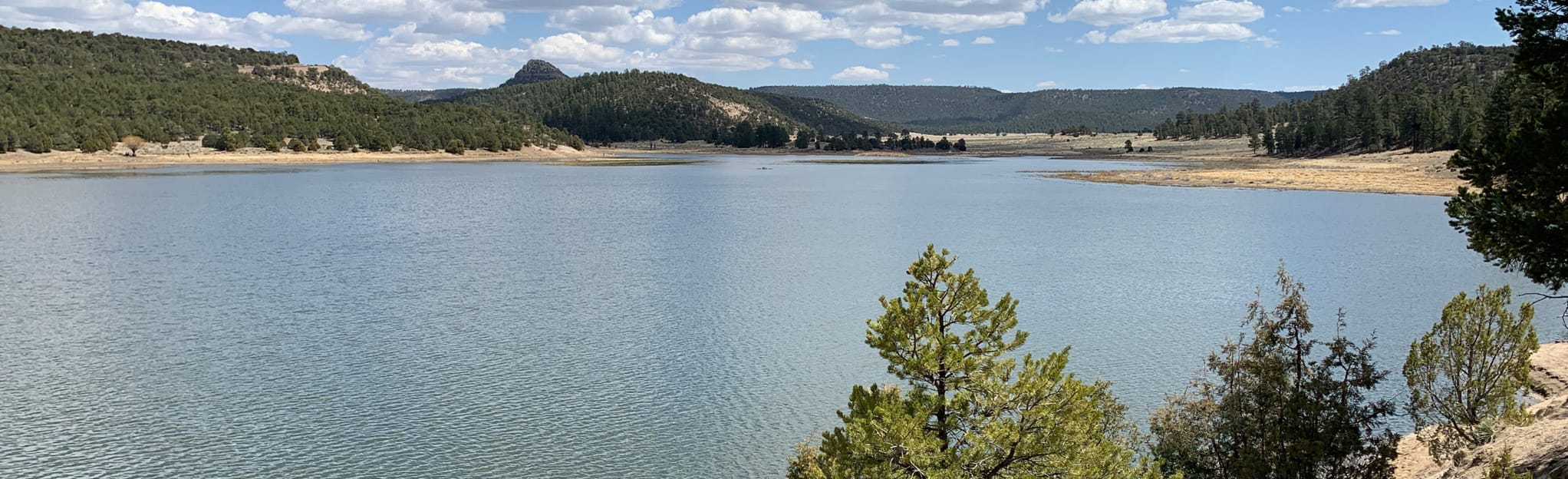 Overlook Trail at Quemado Lake, New Mexico - 13 Reviews, Map  AllTrails