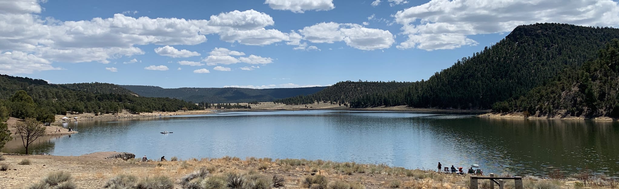 Vista Trail via Quemado Lake, New Mexico - 10 Reviews, Map  AllTrails