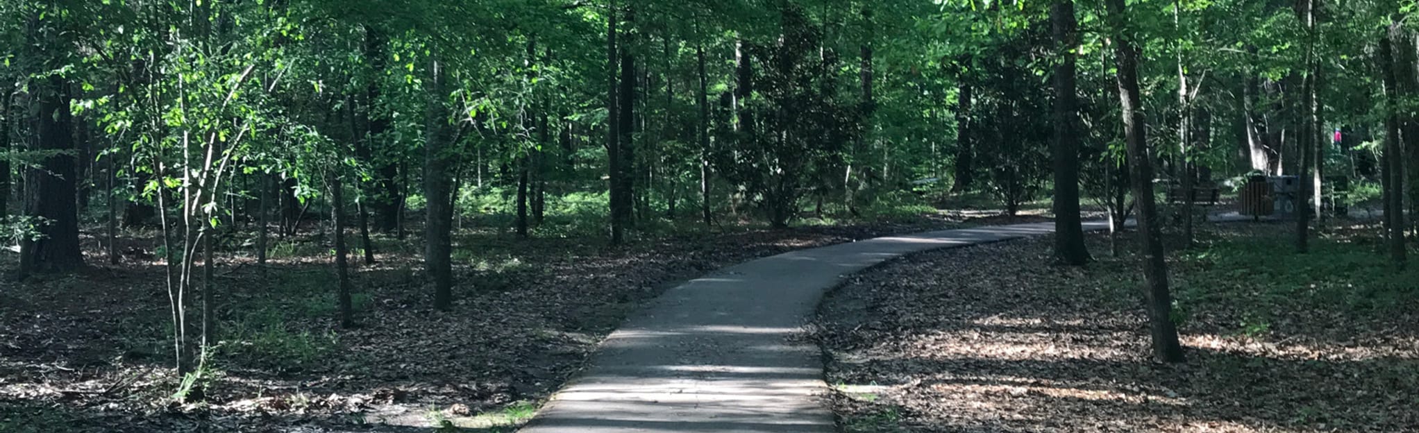 Flowood Park Trail 87 Reviews, Map Mississippi AllTrails