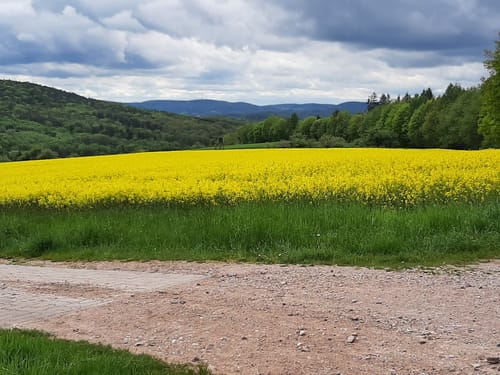 Sailauf Rundwanderweg 2
