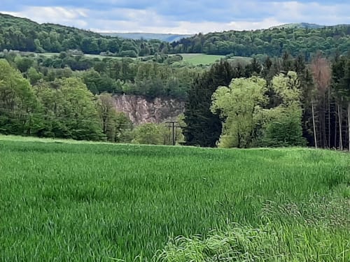 Sailauf Rundwanderweg 2
