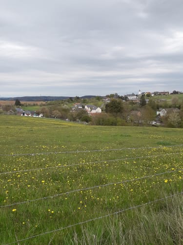 Naturpark Südeifel Wanderweg Nr. 76 - Bettingen