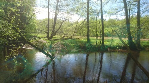 Südheide W23: Im Himmelreich (mittlere Tour)