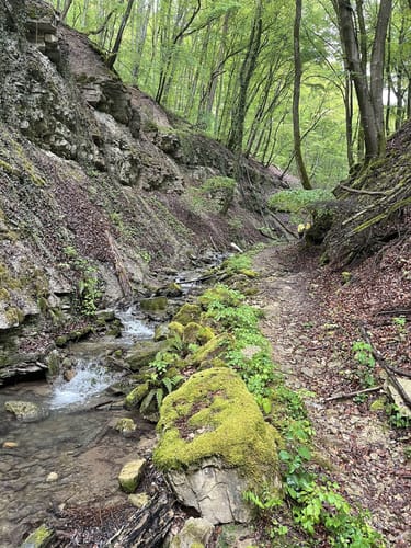 NaturWanderPark delux: Felsenweg 4
