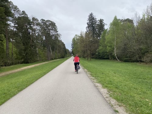 Perlacher Forst ab Neubiberg