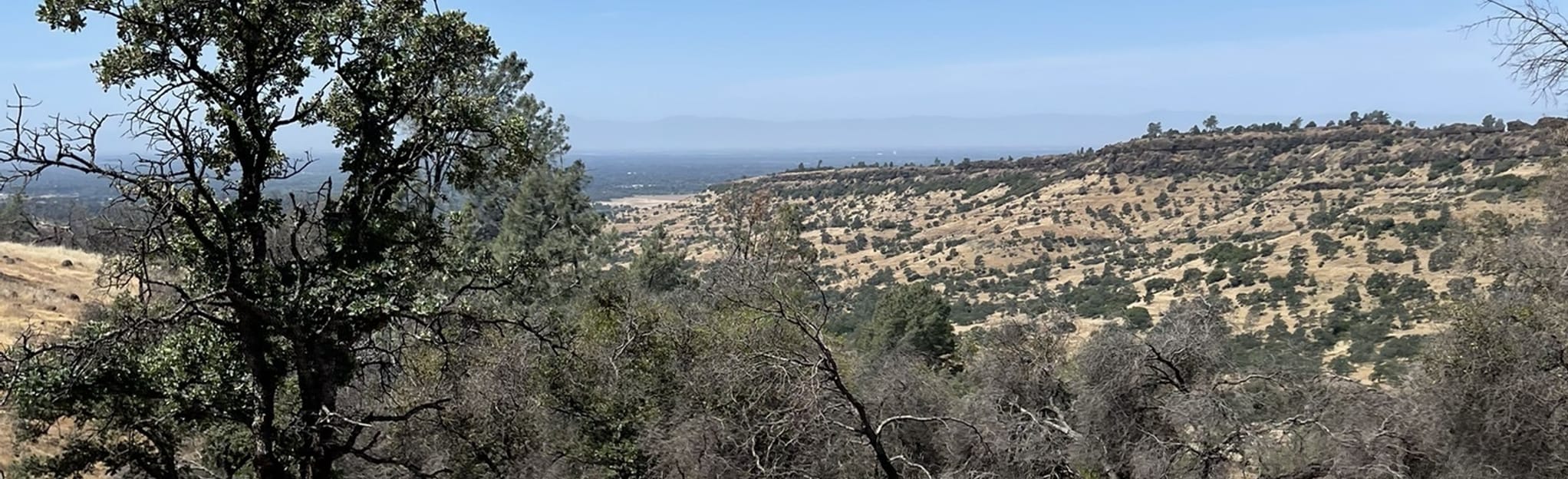 Guardians Trail via South Rim Trail Loop, California 165 Reviews, Map