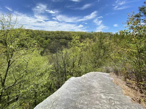 Babcock state 2025 park hiking trails