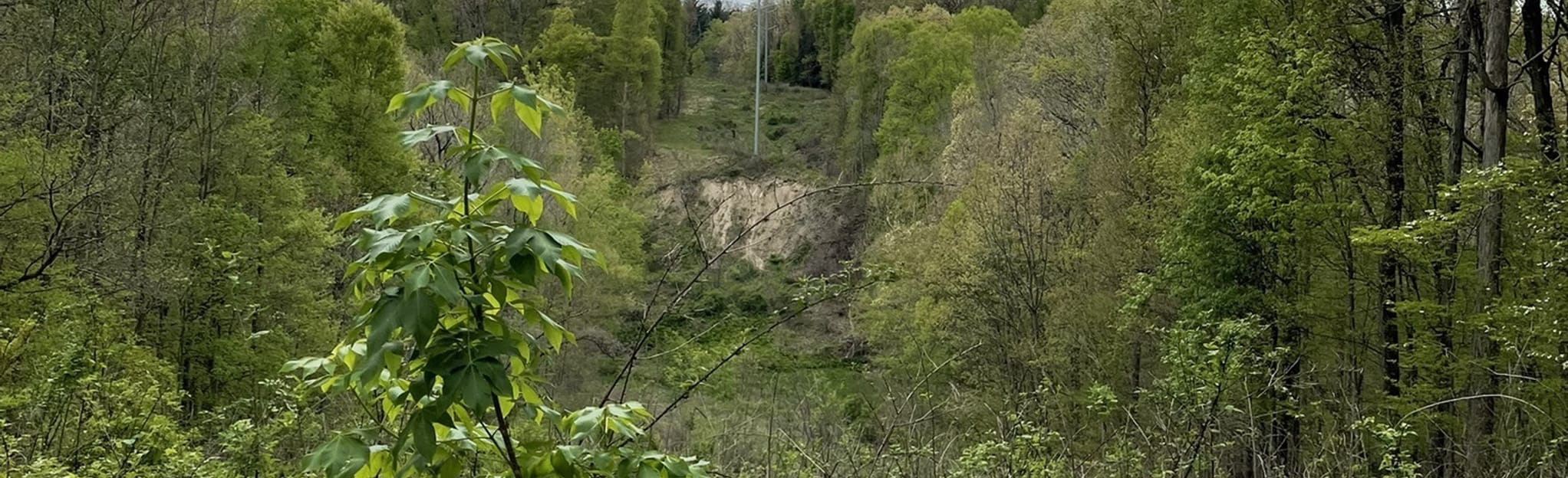 Valley Bridle Trail 50 Reviews, Map Ohio AllTrails