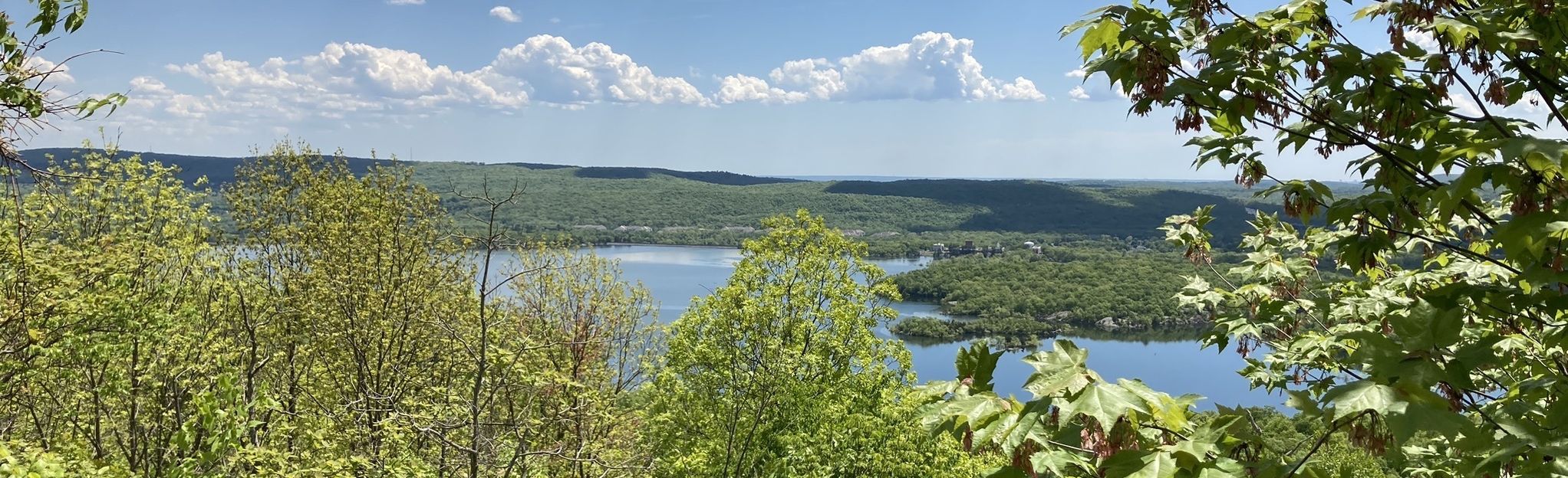 norvin green state forest trail map