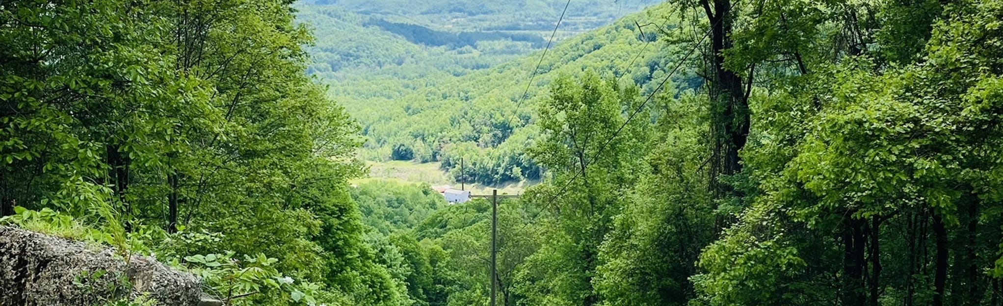 Frozen Head East Lookout Tower Trail 297 Reviews, Map Tennessee AllTrails