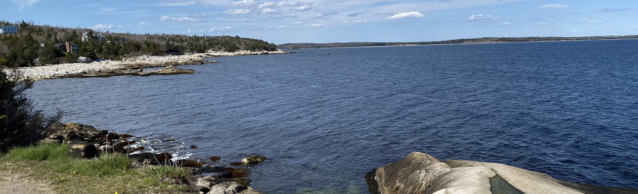 Herring Cove Bluffs 175 Reviews, Map Nova Scotia, Canada AllTrails