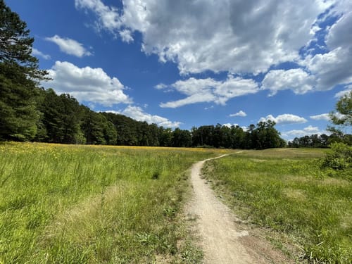 Fort yargo store mountain bike trails