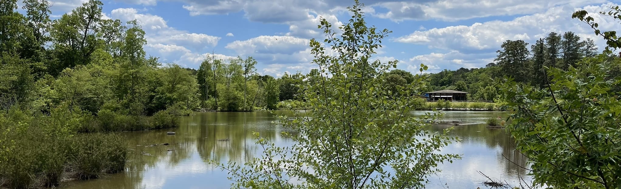 Winder Wilkins Greenway, 194 Reviews, Map AllTrails