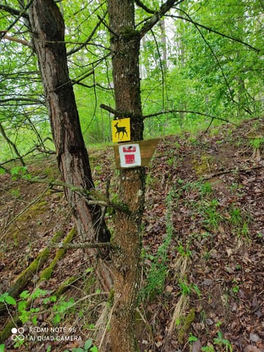 Rundwanderweg Reh