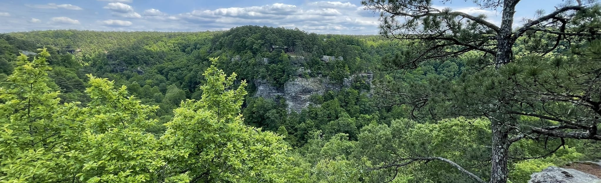 Winthrop P. Rockefeller Boy Scout Trail 407 Reviews, Map Arkansas