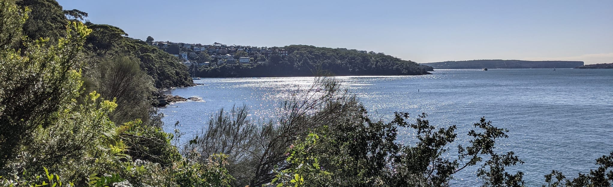 Bradleys Head (Taronga Zoo) to Chowder Bay Walk 1.187 fotos Nova