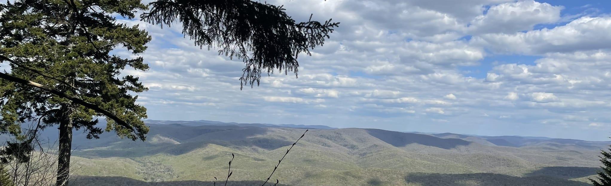 Gaudineer Knob Trail West Virginia AllTrails