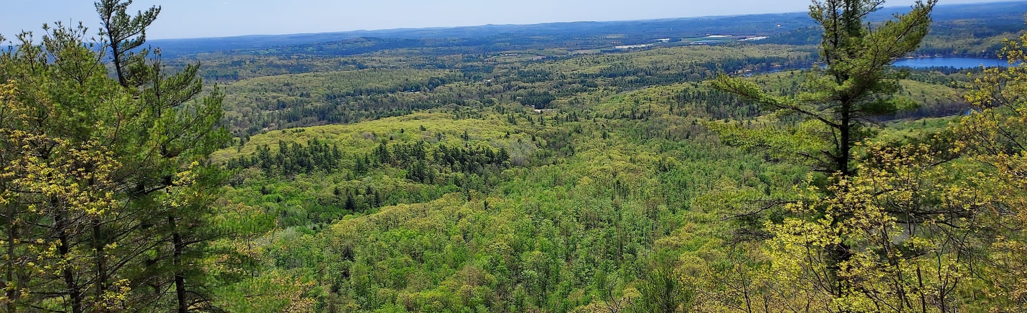 Bear Mountain Trail 227 Reviews, Map Maine AllTrails