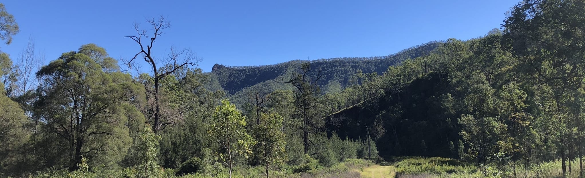 Blackfellow Creek Trail: 17 Reviews, Map - Queensland, Australia ...