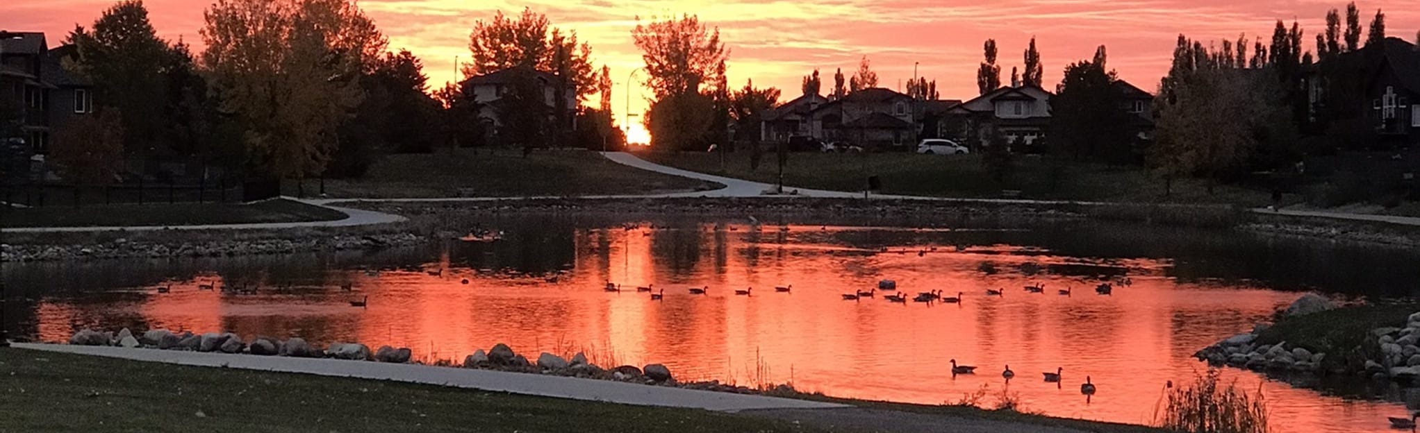 Chinook Park Lake Loop 26 Reviews, Map Alberta, Canada AllTrails