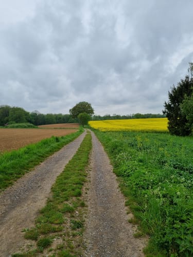 Stinderbachtal bei Ekrath