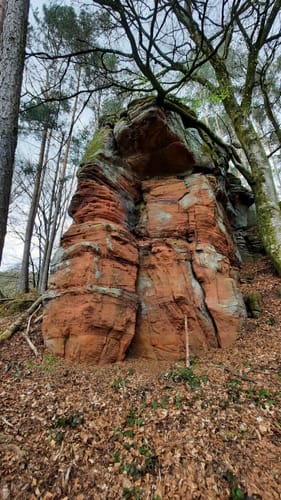 Clausen C1