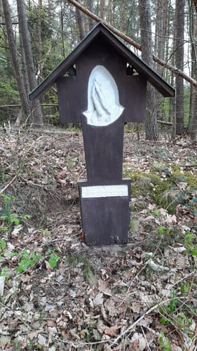 Clausen C1