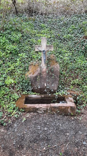 Clausen C1