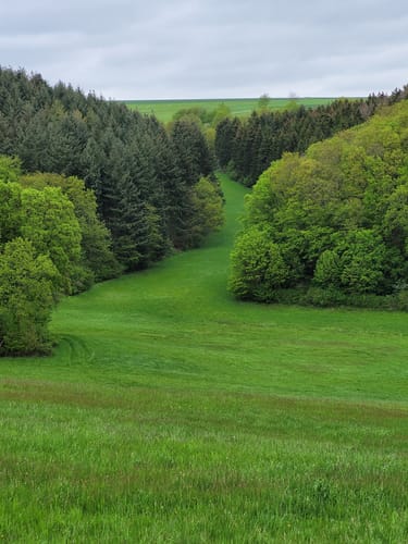 Willigisweg und Felsengarten kombiniert