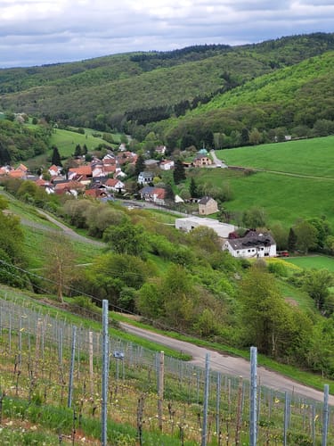 Rabenkopf Rundwanderung ab Willigiskapelle