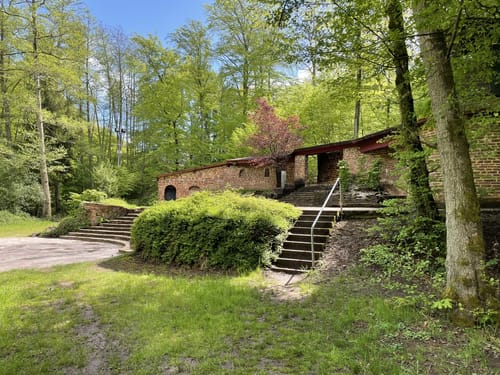 Waldzeit (Traumschleife)