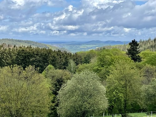 Bad Neuenahr - Tour 05 - Durch den Ramersbacher Wald