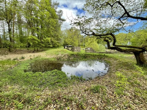 Bad Neuenahr - Tour 05 - Durch den Ramersbacher Wald