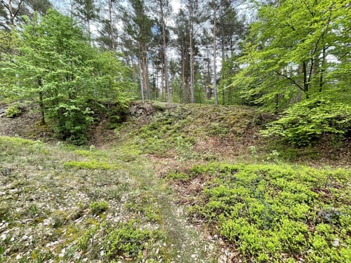 Bad Neuenahr - Tour 05 - Durch den Ramersbacher Wald