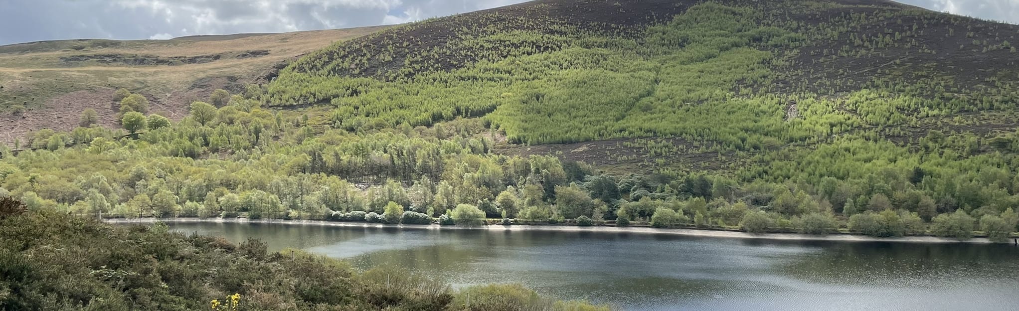 Carrbrook, Millbrook, and Walkerwood Reservoir Circular, Greater