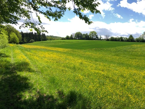 IVB MTB Tour 4: Burgen Tour