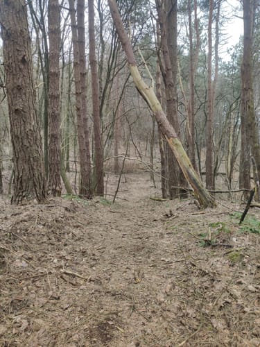 Rundwanderung bei Gudendorf