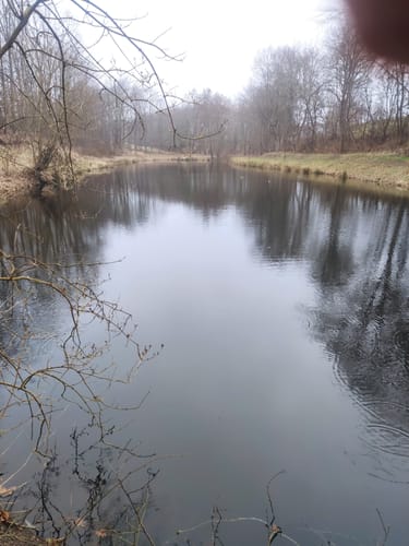 Rundwanderung bei Gudendorf