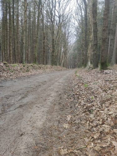 Rundwanderung bei Gudendorf