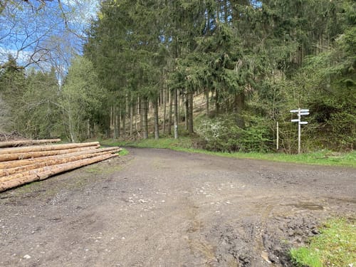 Dörferblick Schleife - Extratour zum AhrSteig