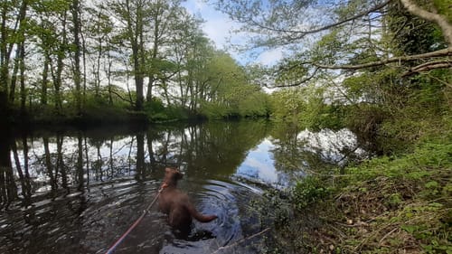 Vechte - Coevorden-Piccardie-Kanal