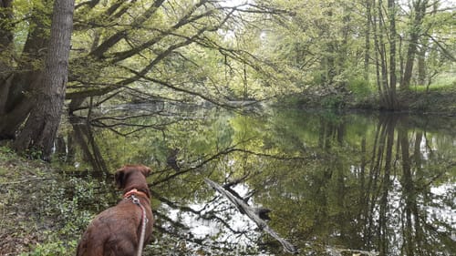 Vechte - Coevorden-Piccardie-Kanal