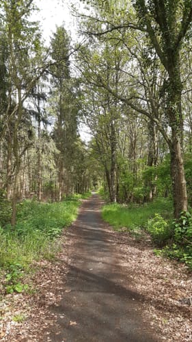 Vechte - Coevorden-Piccardie-Kanal