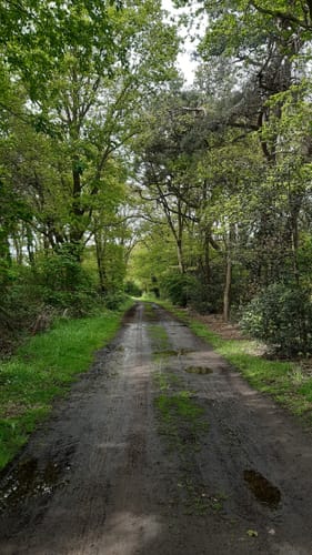 Vechte - Coevorden-Piccardie-Kanal