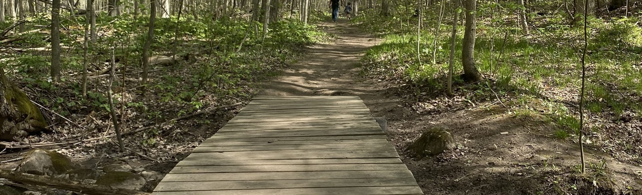 The Mingay Loop 334 Reviews, Map Ontario, Canada AllTrails